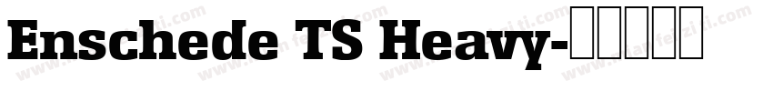 Enschede TS Heavy字体转换